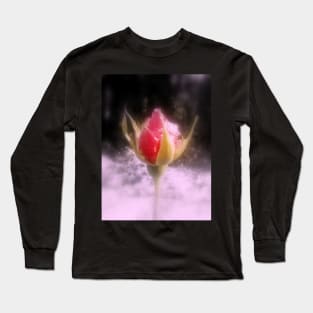 rosebud in the snow 4, tinted Long Sleeve T-Shirt